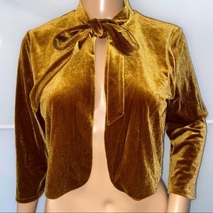 Mustard Velvet Blouse